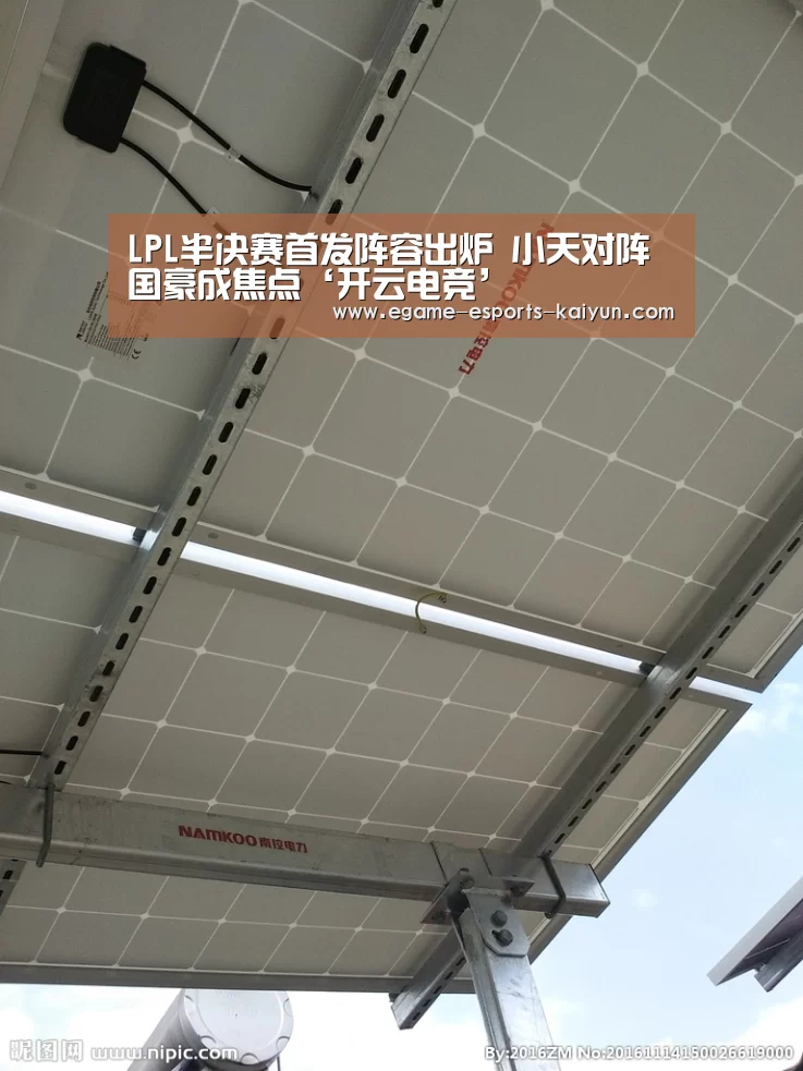  电竞官网