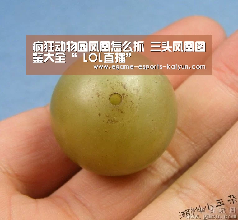 疯狂动物园凤凰怎么抓 三头凤凰图鉴大全“ LOL直播”(图2) 开云电竞