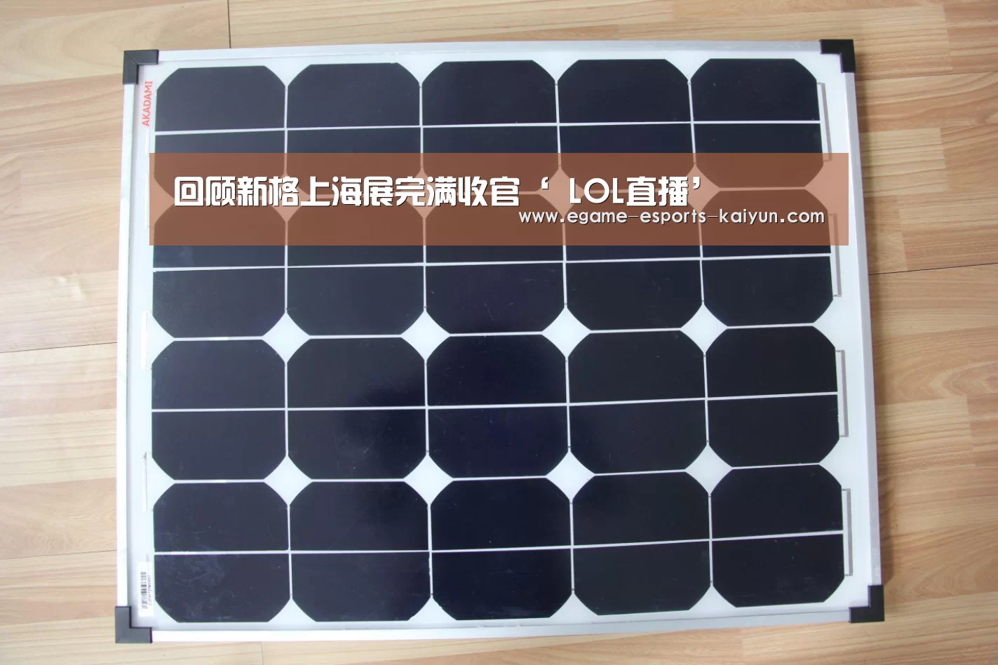 回顾新格上海展完满收官‘ LOL直播’(图2) 开云电竞