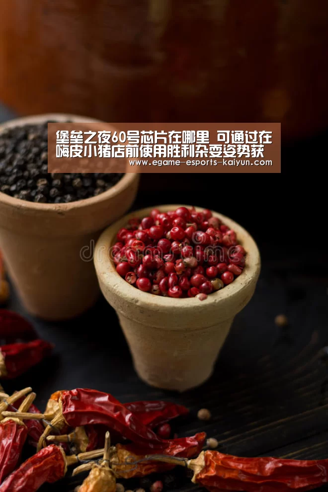 堡垒之夜60号芯片在哪里 可通过在嗨皮小猪店前使用胜利杂耍姿势获得| LOL直播(图2) 开云电竞